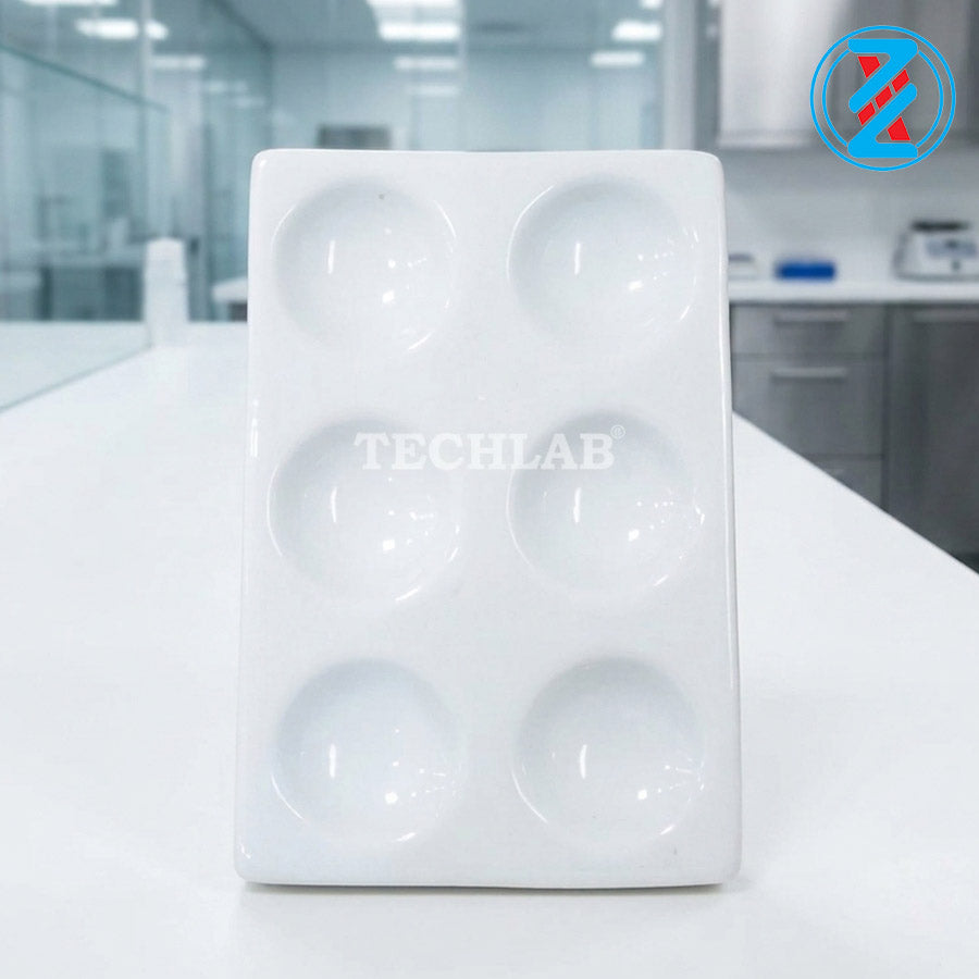 ĐẾ SỨ 6 CHỖ_GENLAB
