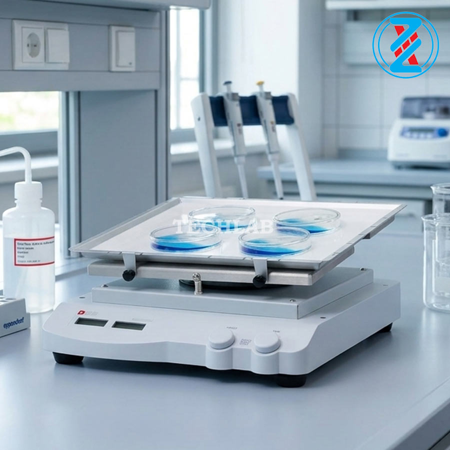 Máy Lắc Bập Bênh SK-R330-Pro_DLAB