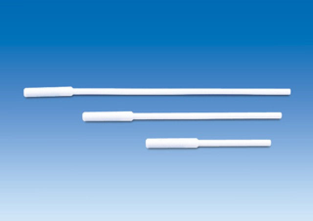 Cây Nhận Cá Từ