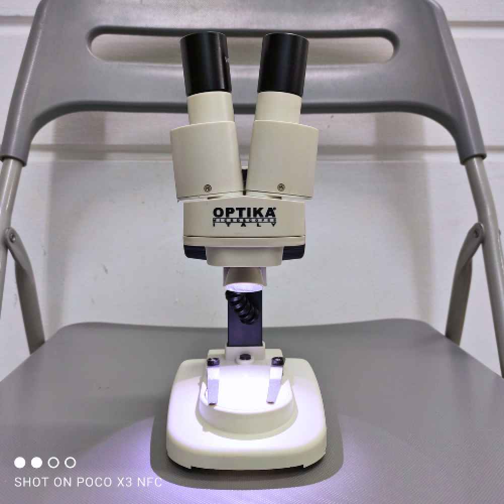 Kính Hiển Vi Soi Nổi 2 Mắt STX_OPTIKA