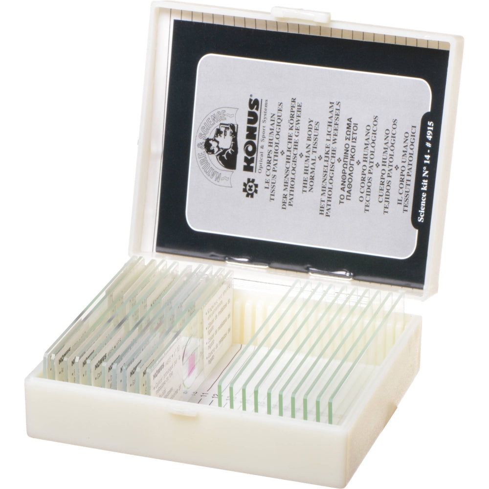 Hộp Lam Mẫu Các Mô Bệnh Lý Ở Người 2 (10 Tiêu Bản) 15628_OPTIKA