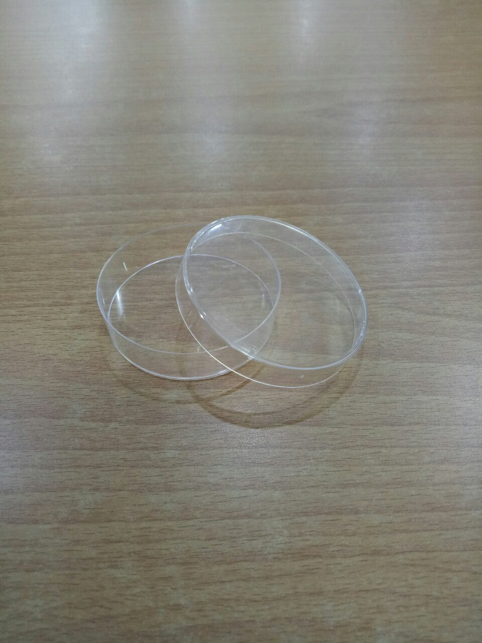 ĐĨA PETRI NHỰA TT 60mm_MIDA