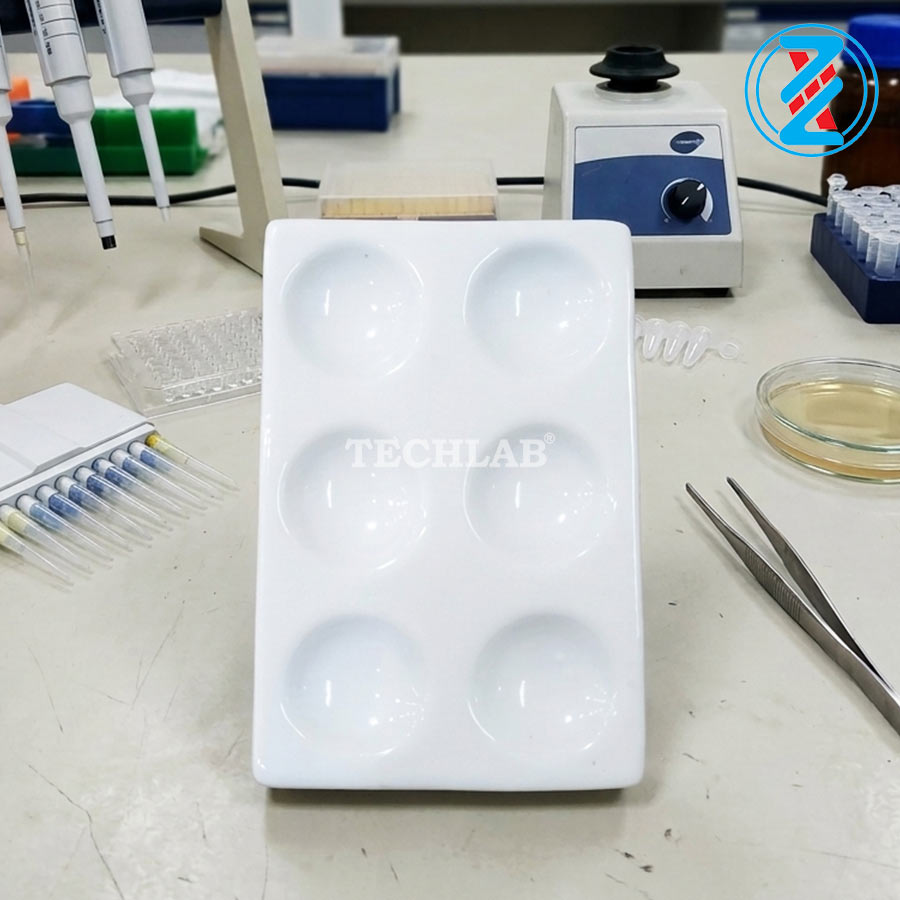 ĐẾ SỨ 6 CHỖ_GENLAB